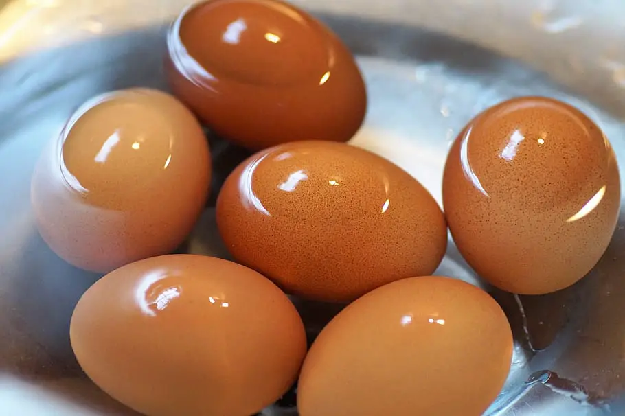 Are Hard Boiled Eggs Good For Weight Loss Boost Thermogenics Stay can-boiled-eggs-help-with-weight-loss