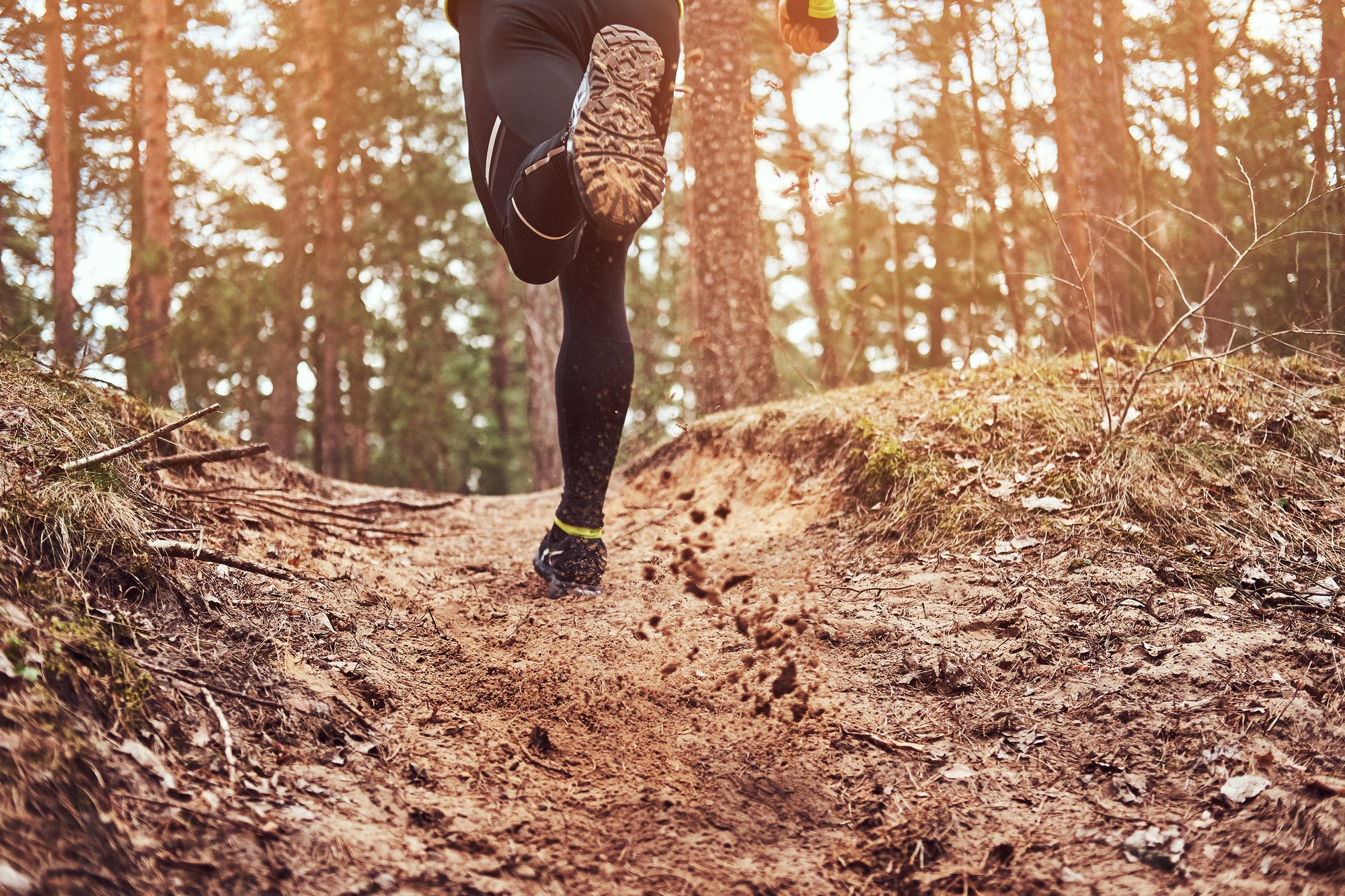 Athlete running along the forest trail. An active way of life, rear view.