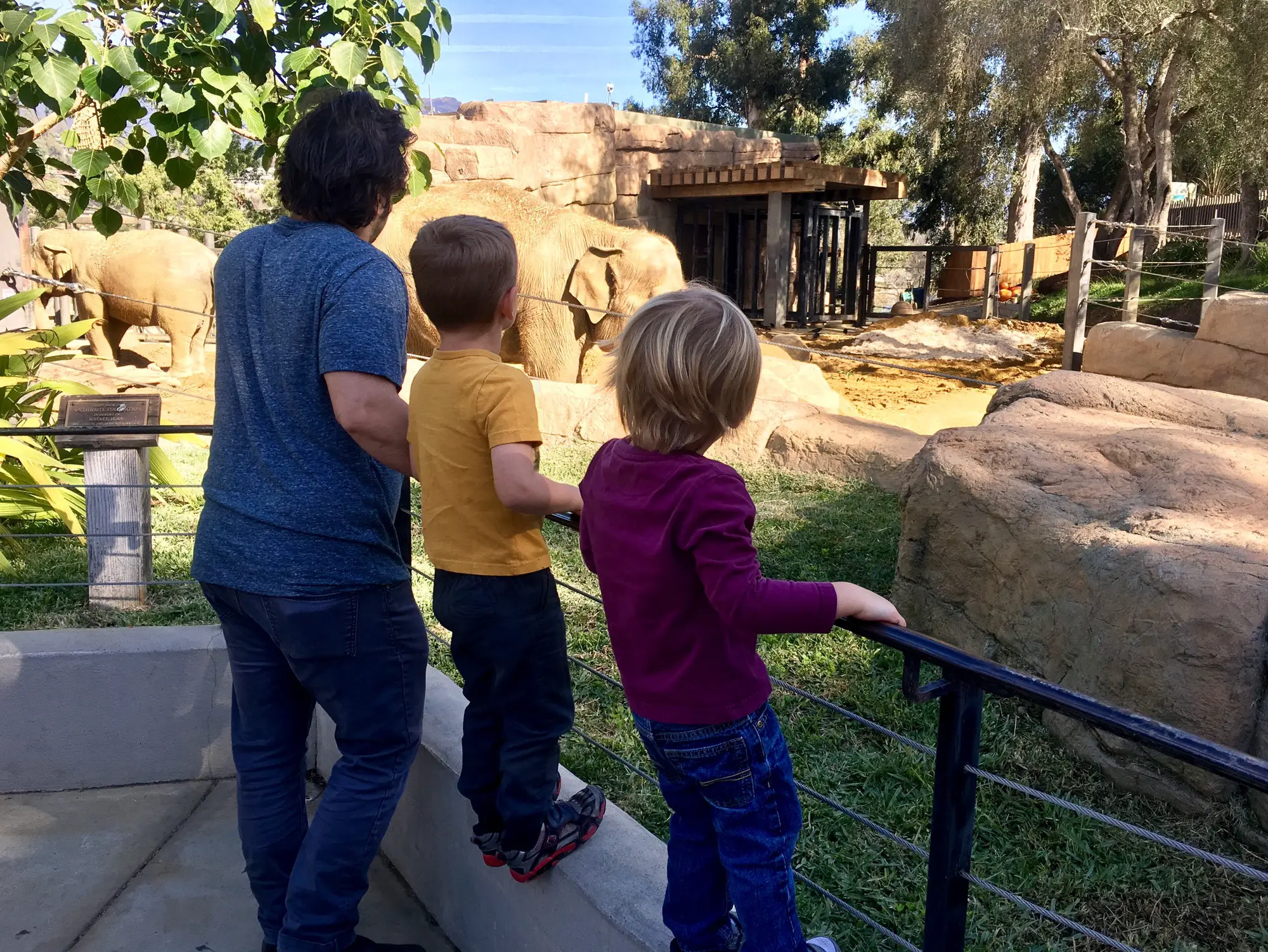 Family at the zoo looking at animals